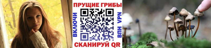 Галлюциногенные грибы прущие грибы  Сосновка 