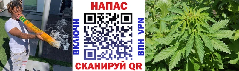 что такое наркотик  Сосновка  Марихуана план 